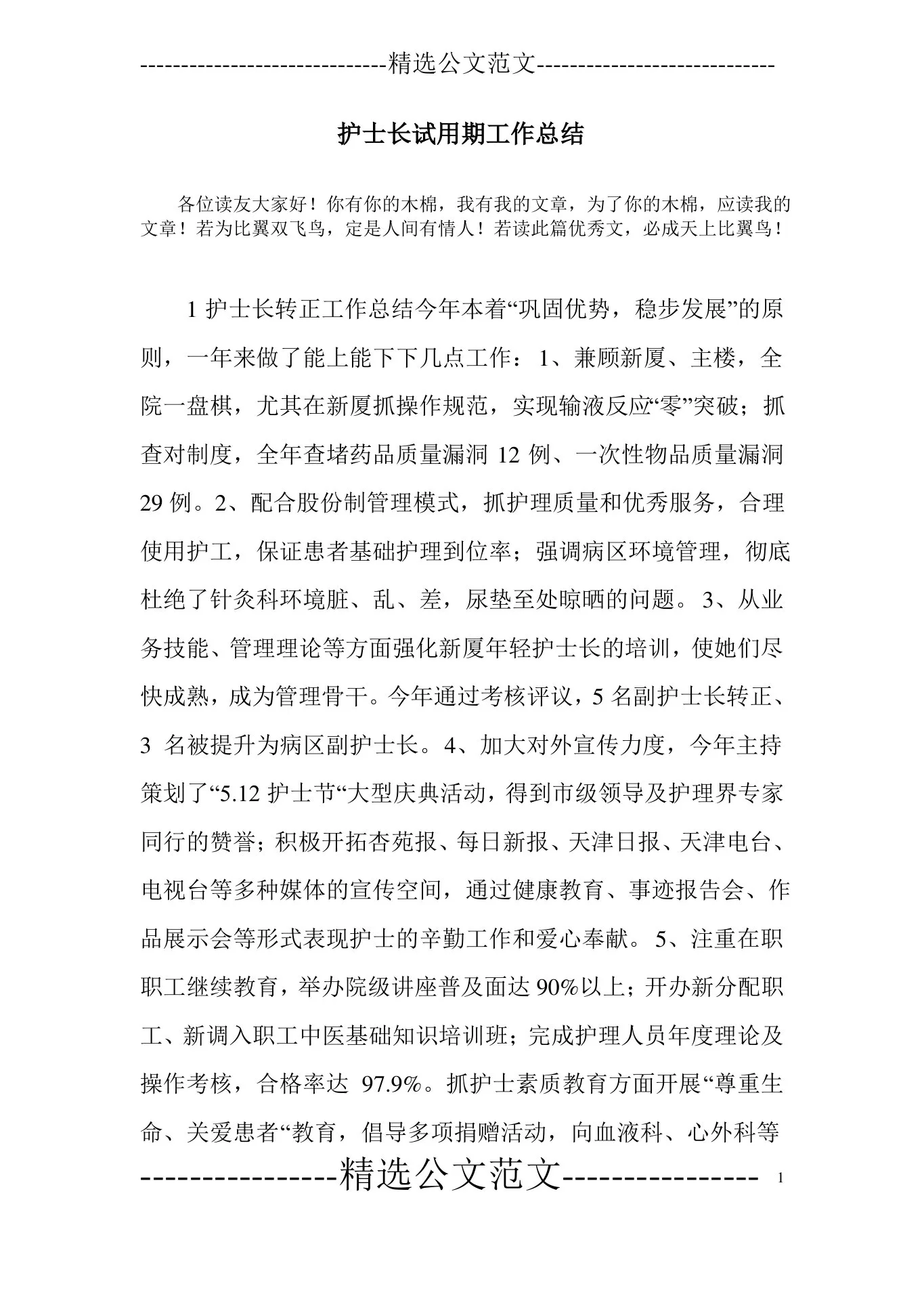 护士长试用期工作总结 预览图
