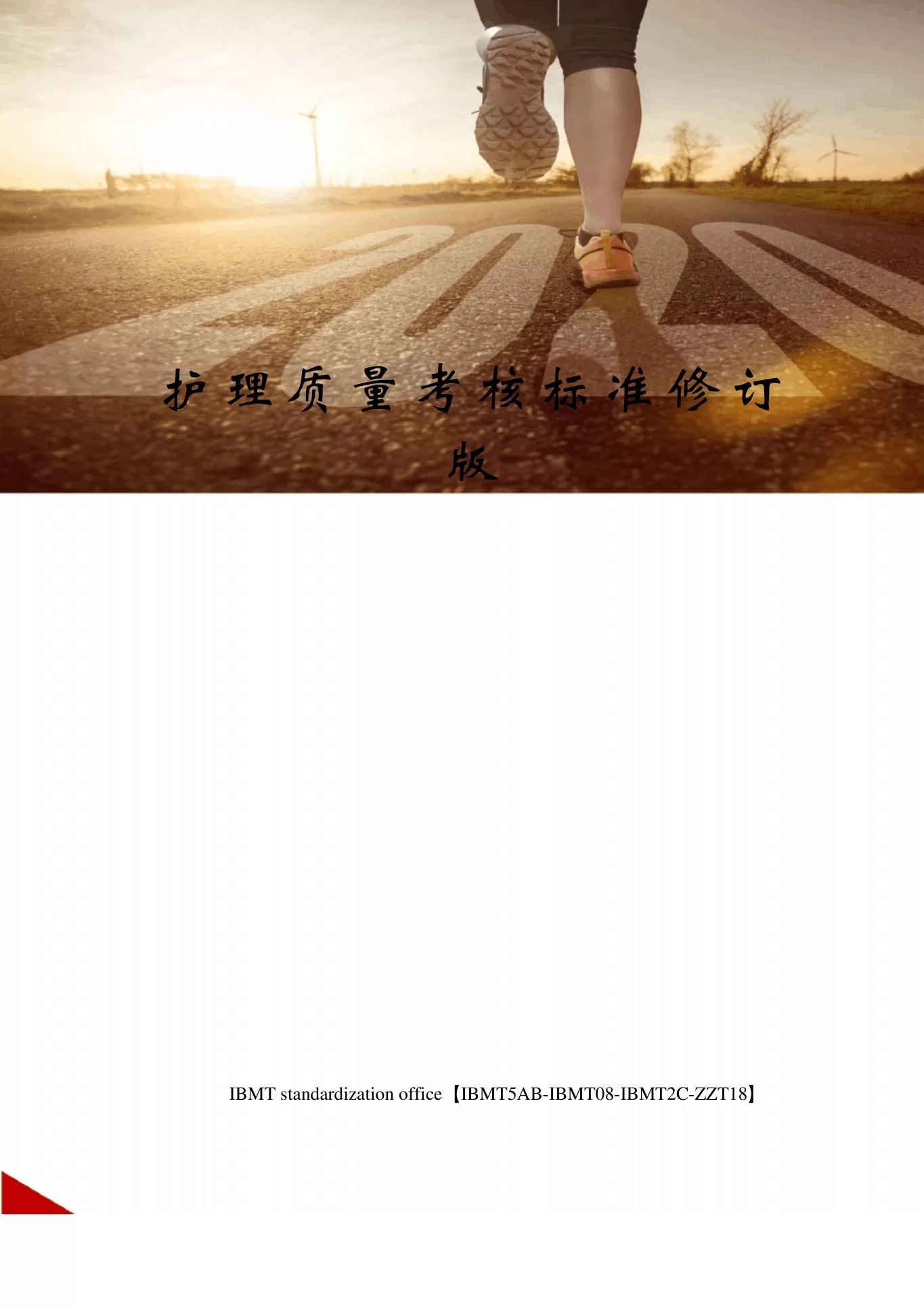护理质量考核标准修订版 预览图