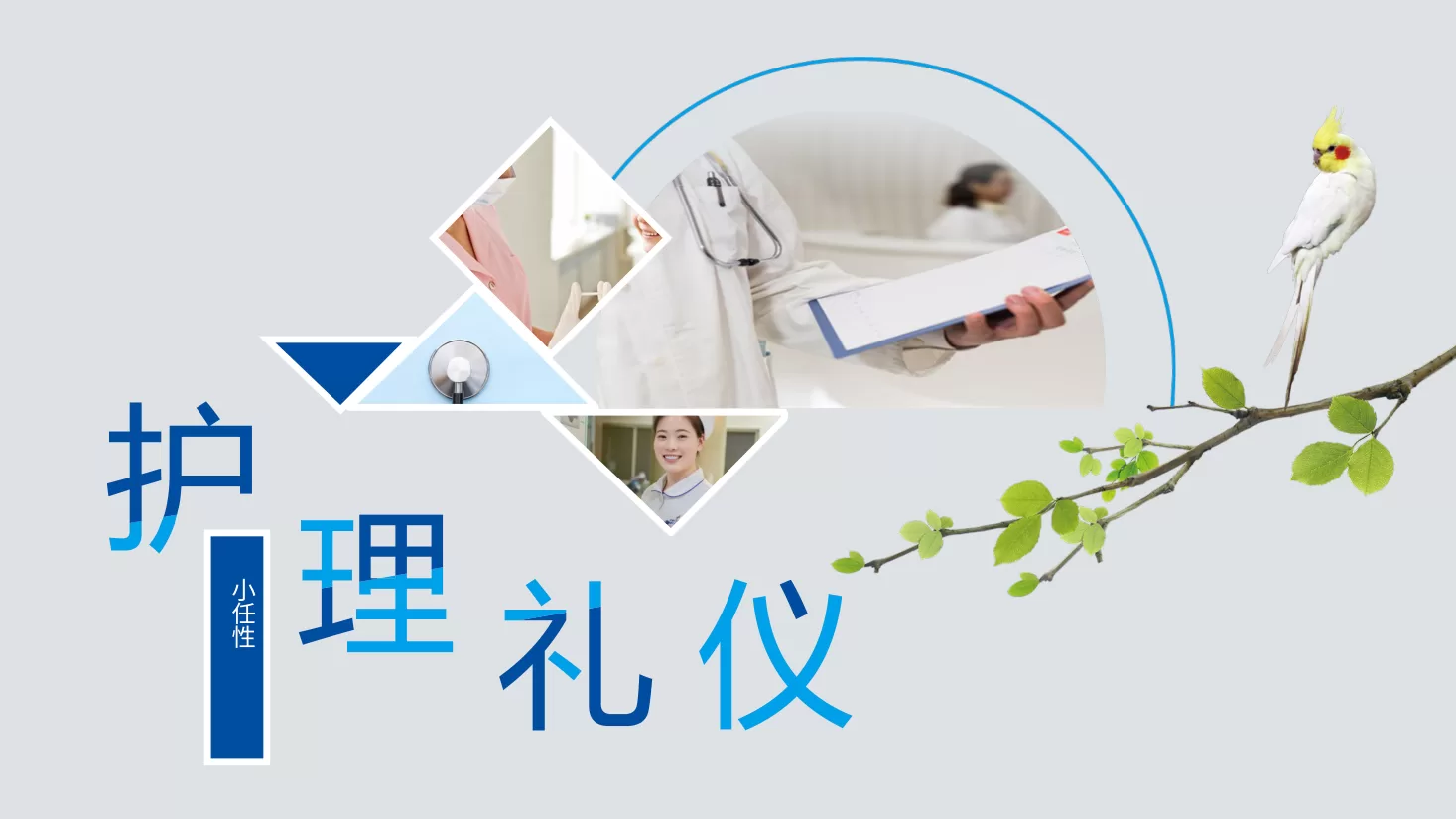 20护理工作礼仪培训PPT模板