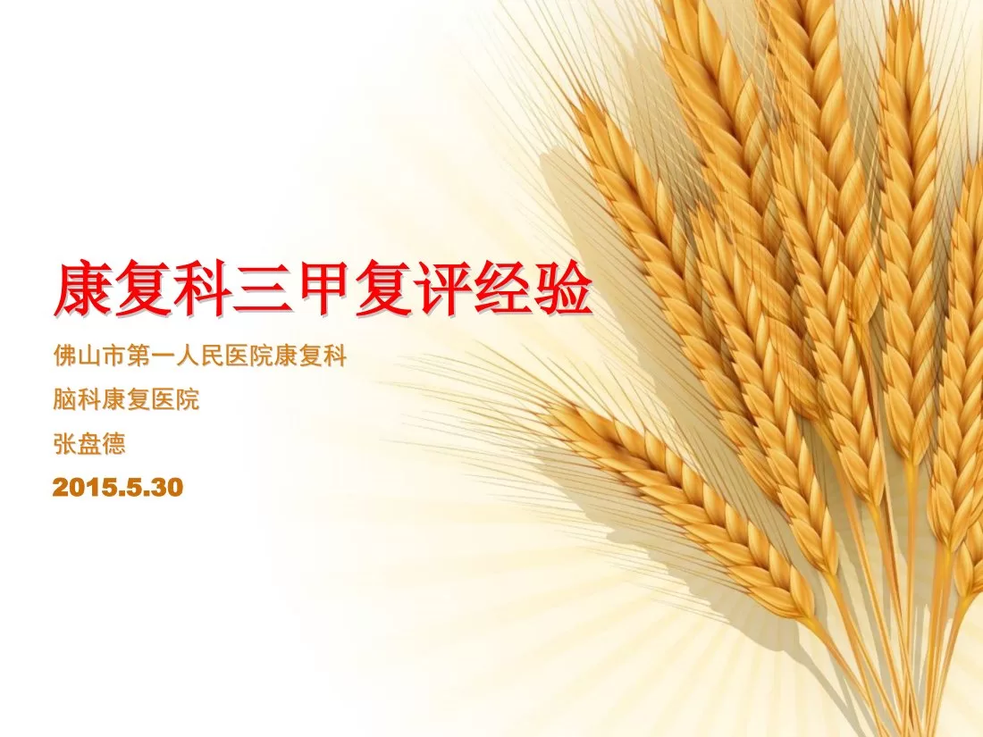 康复科三甲复评资料