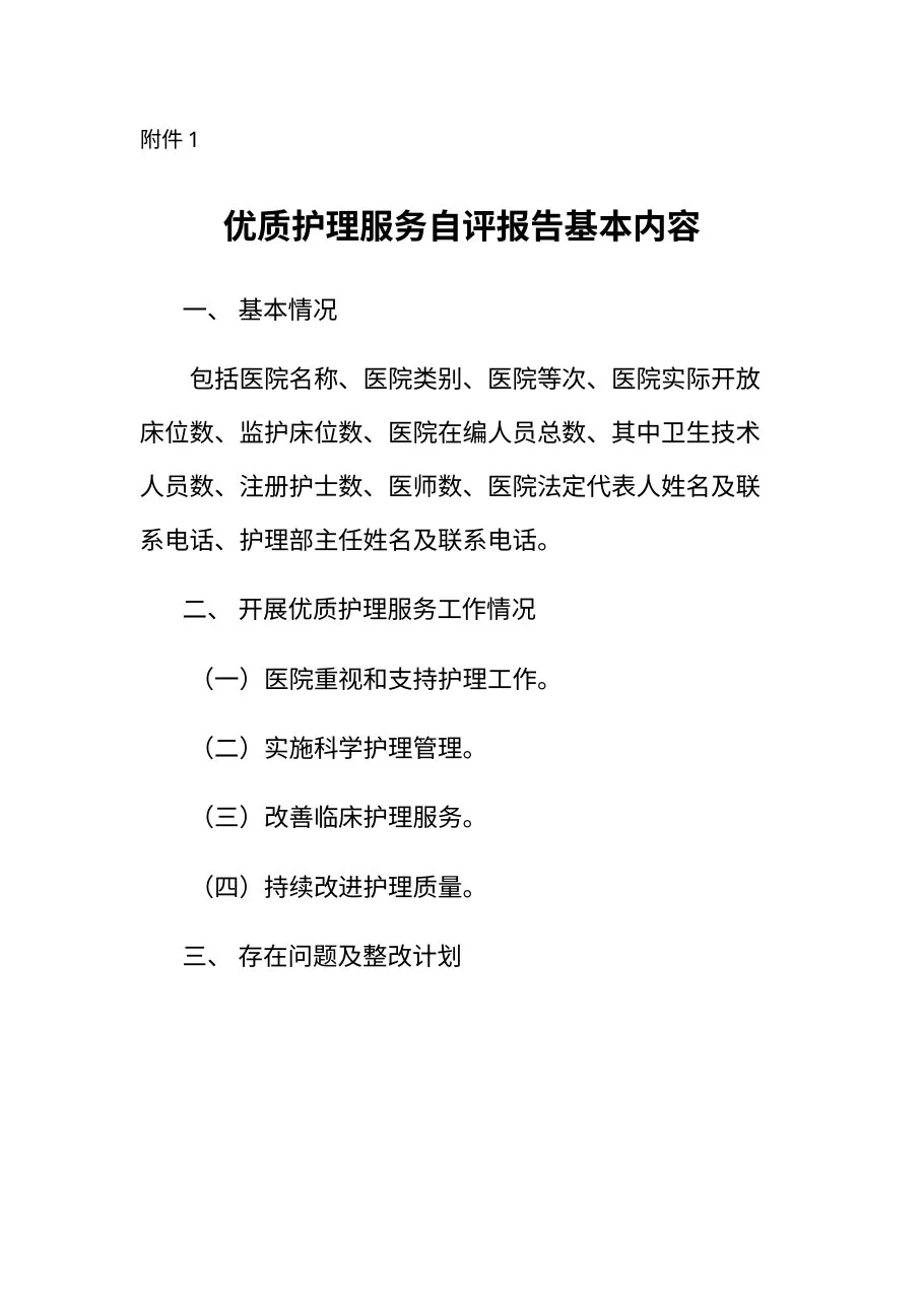 优质护理服务自评报告基本内容 预览图