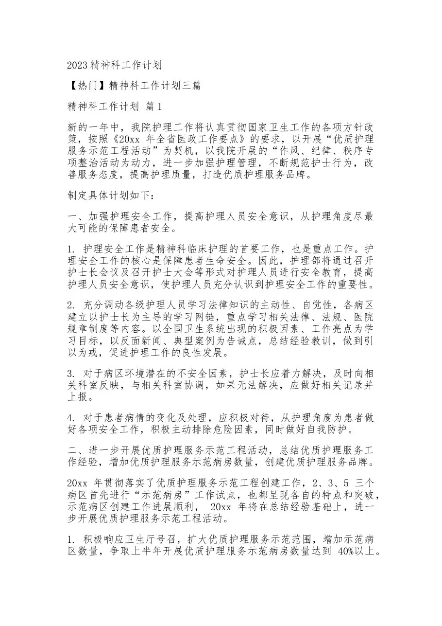 2023精神科工作计划 预览图