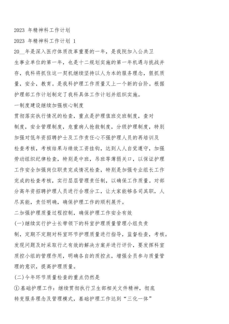 2023年精神科工作计划 预览图