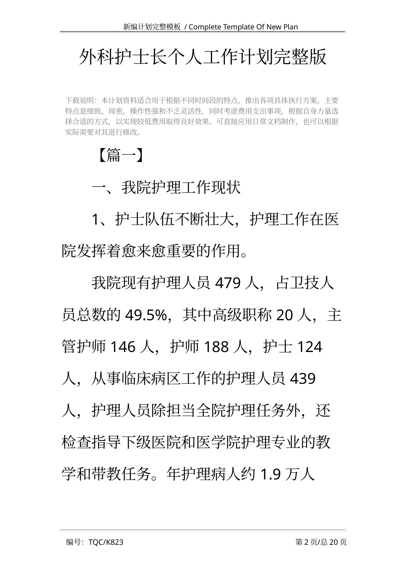 外科护士长个人工作计划完整版 预览图