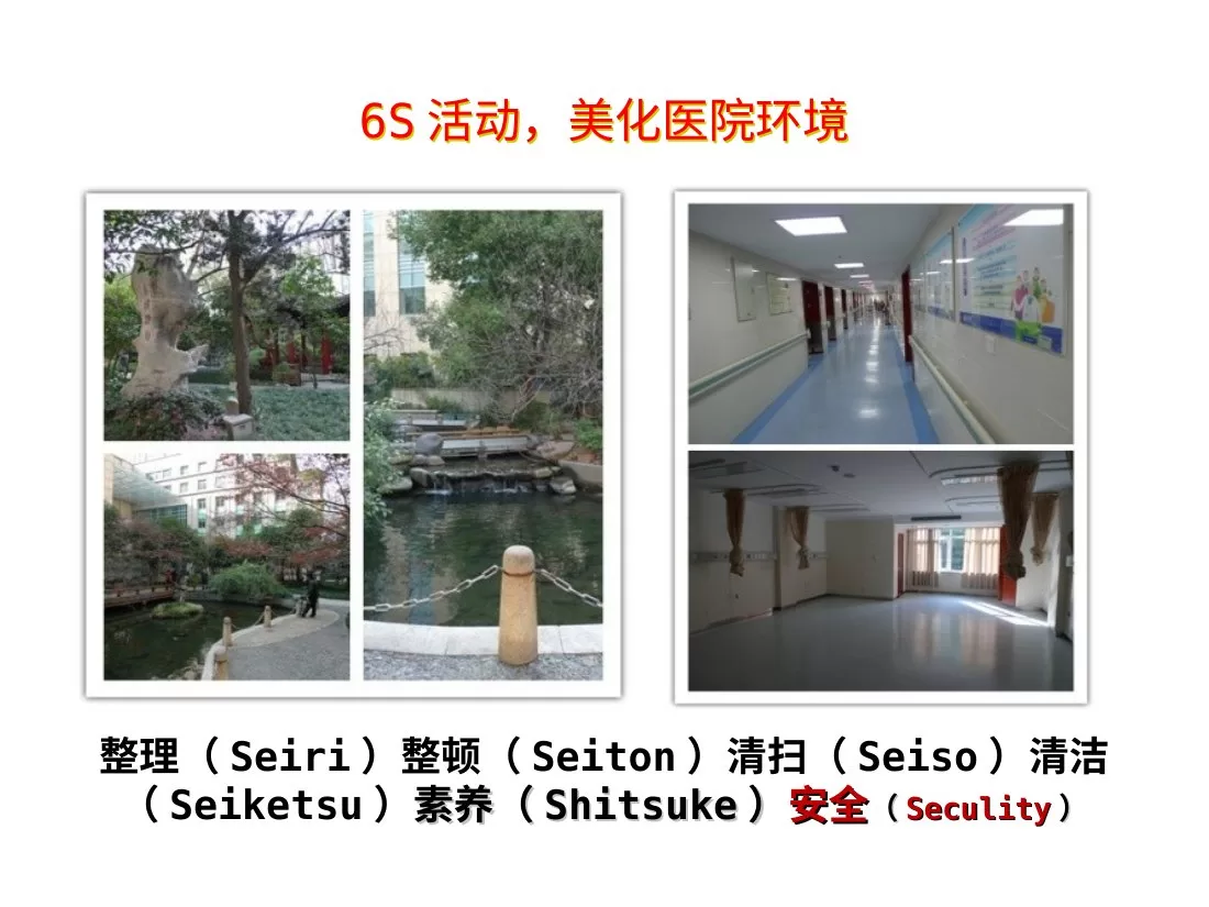 五常法在护理工作中的应用 预览图