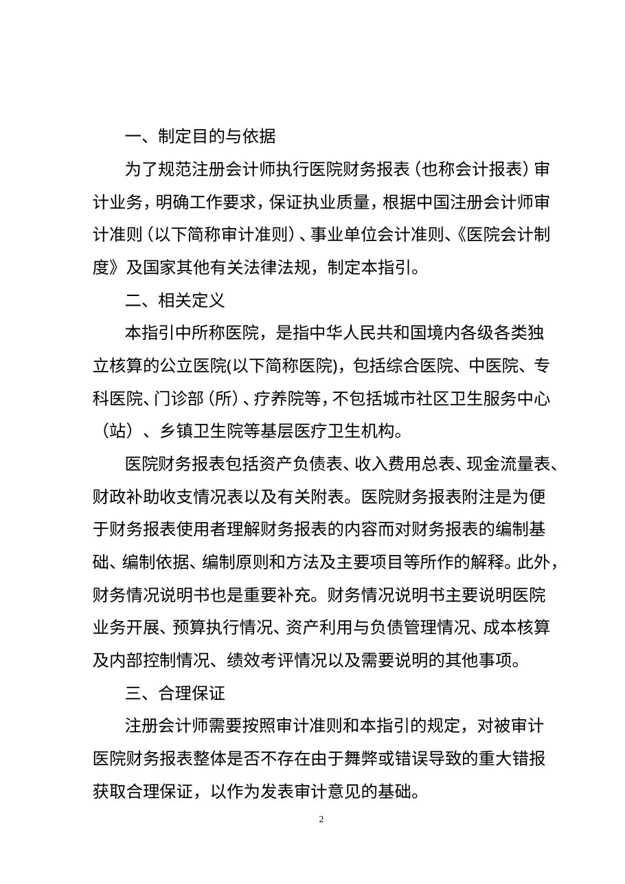 医院财务报表审计指引 预览图
