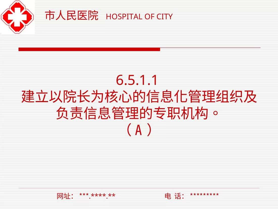 医院信息科二甲复审汇报材料 预览图