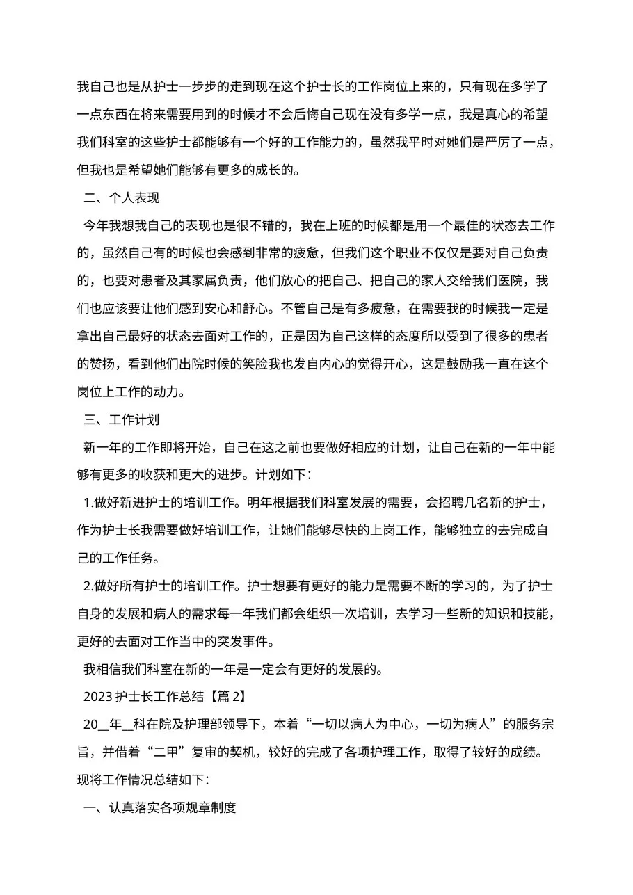 202X护士长工作总结 预览图
