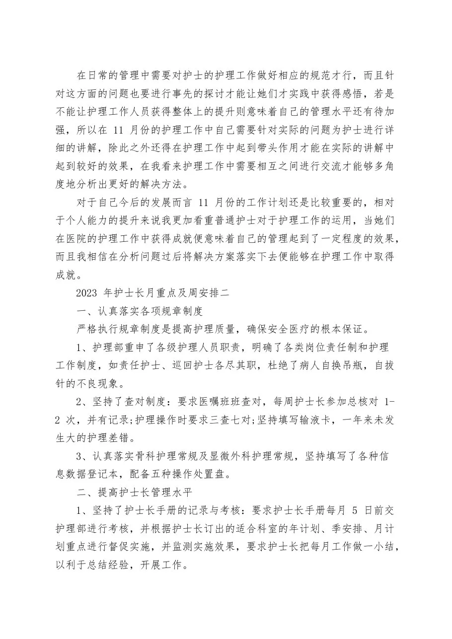 2023年护士长月重点及周安排 预览图