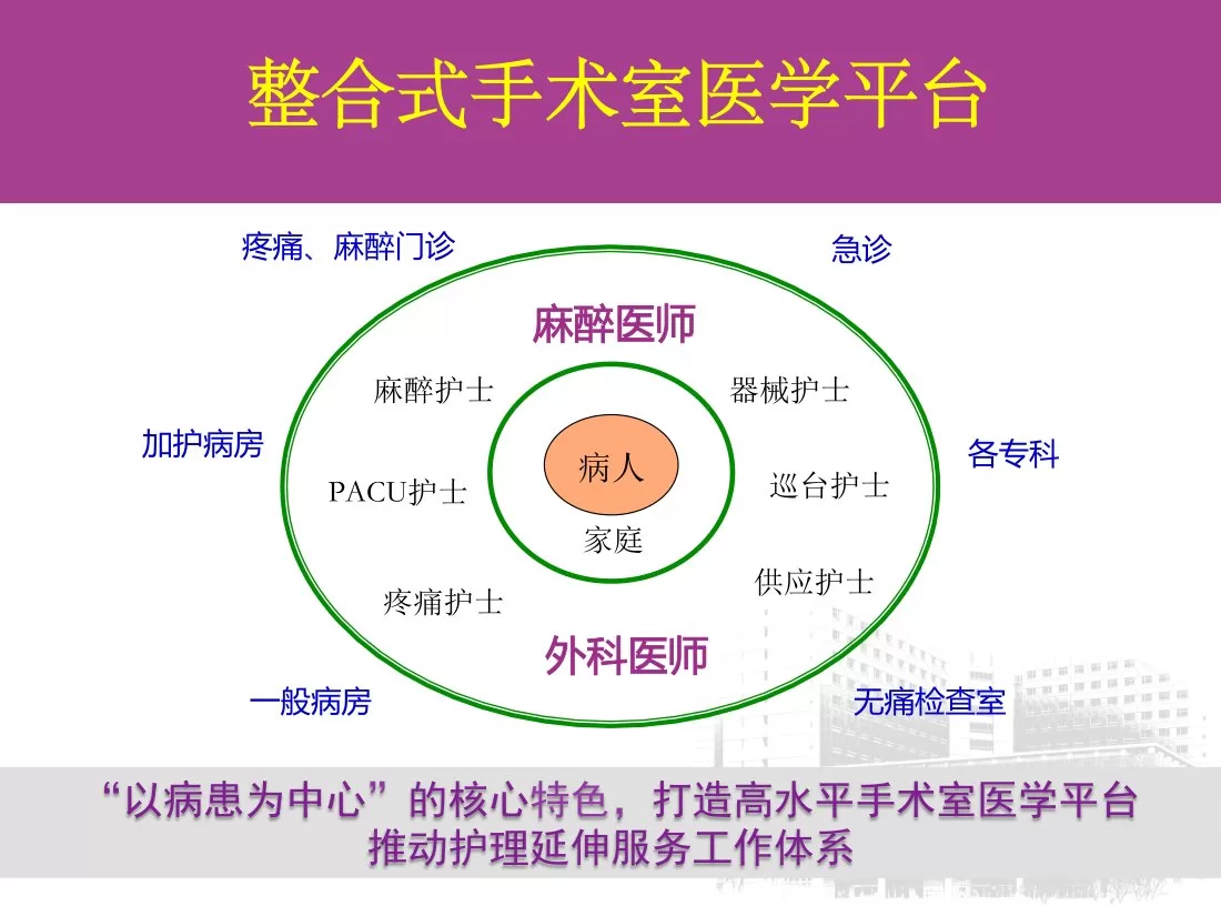 第八：麻醉护士规范化培训 李琪 预览图