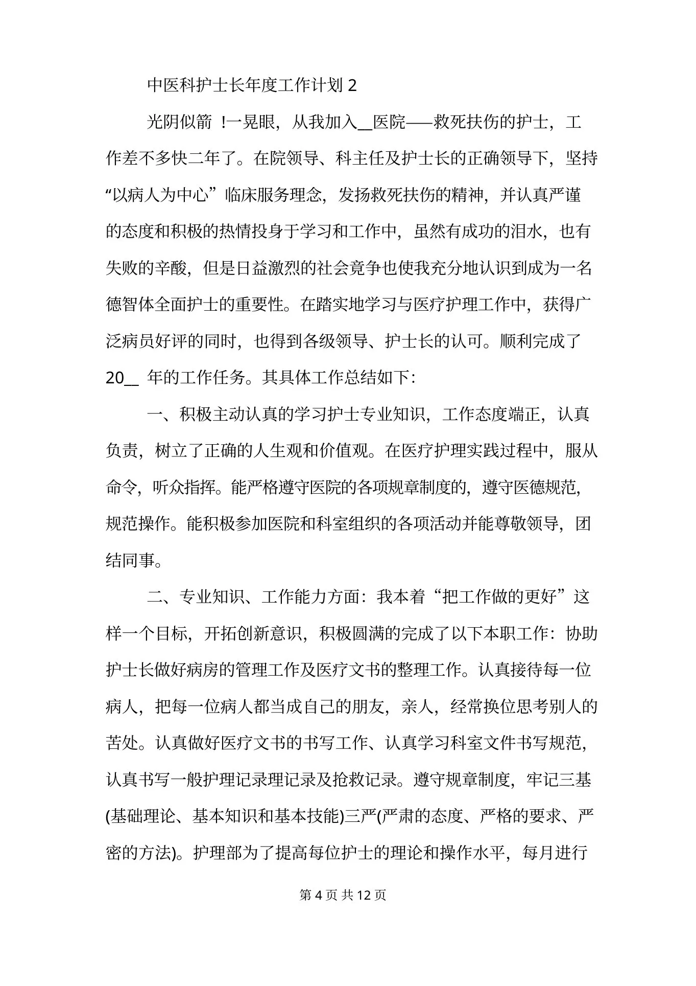 中医科护士长年度工作计划范文模板 预览图