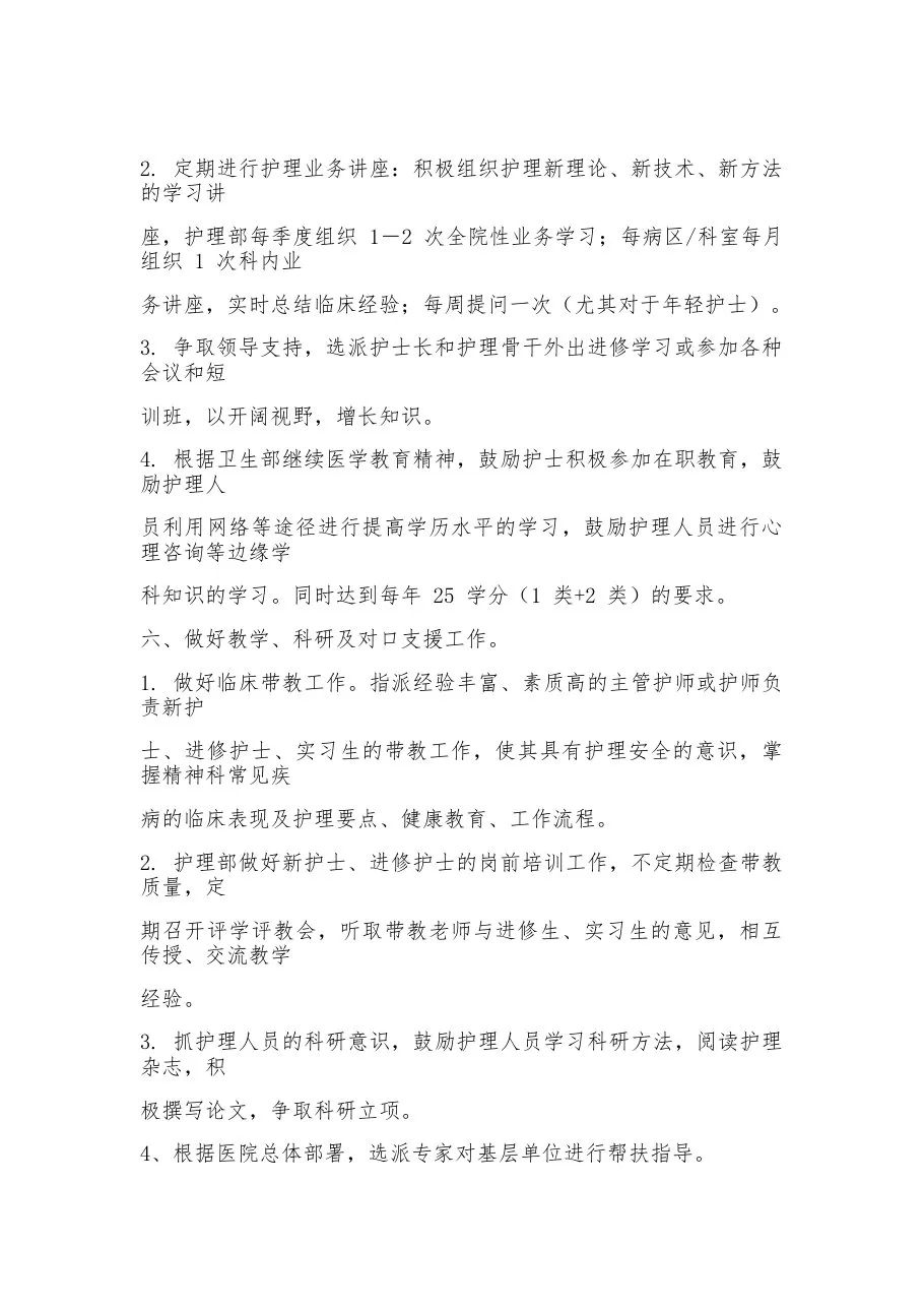 2023精神科工作计划 预览图