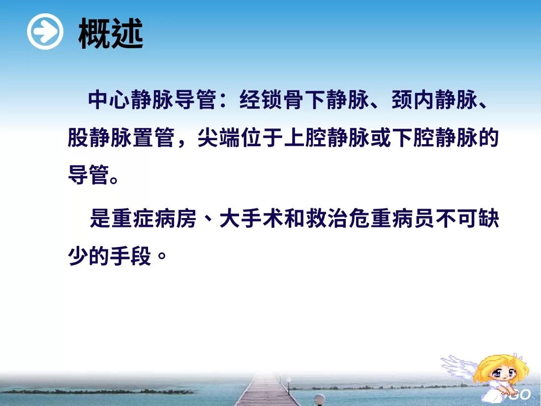 深静脉置管护理 预览图