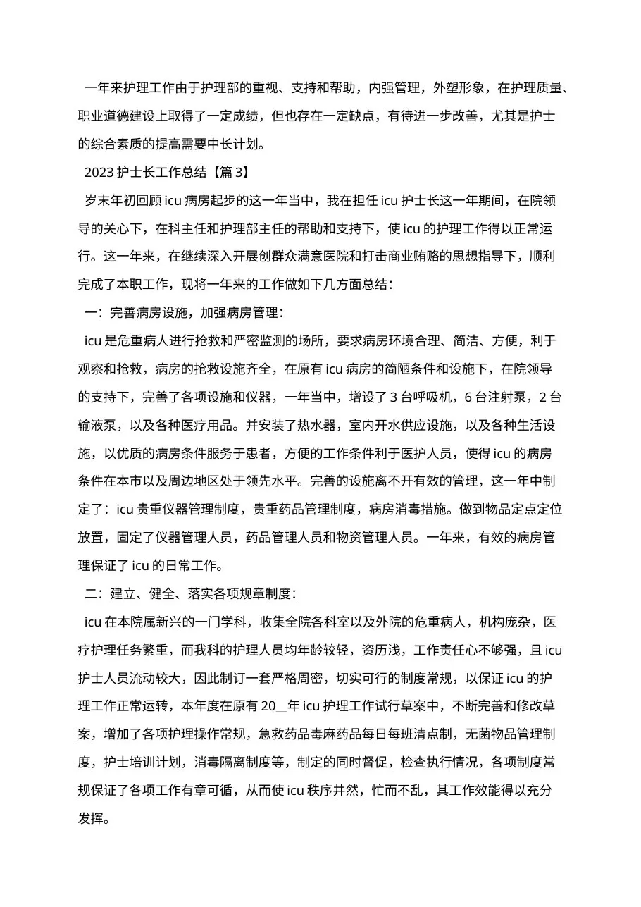 202X护士长工作总结 预览图