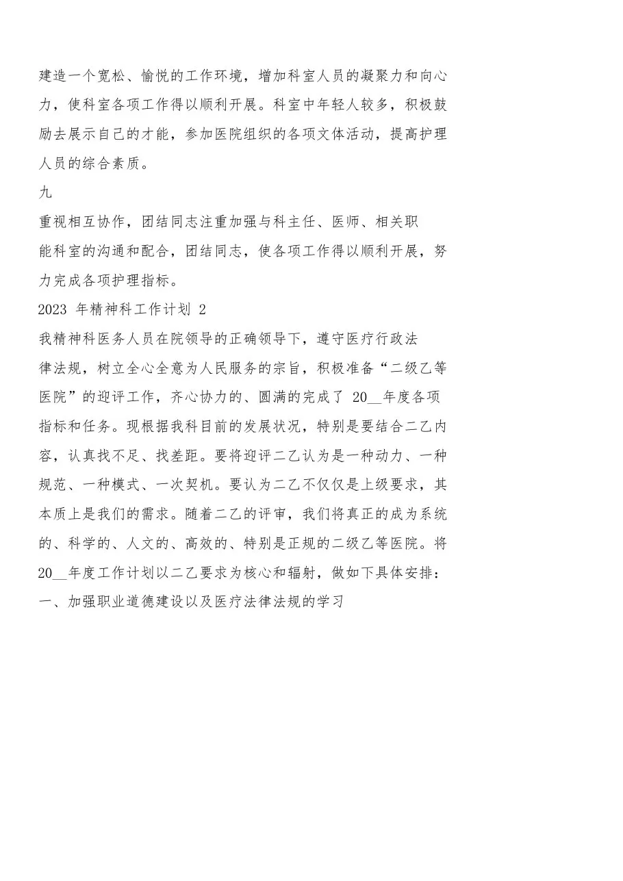 2023年精神科工作计划 预览图