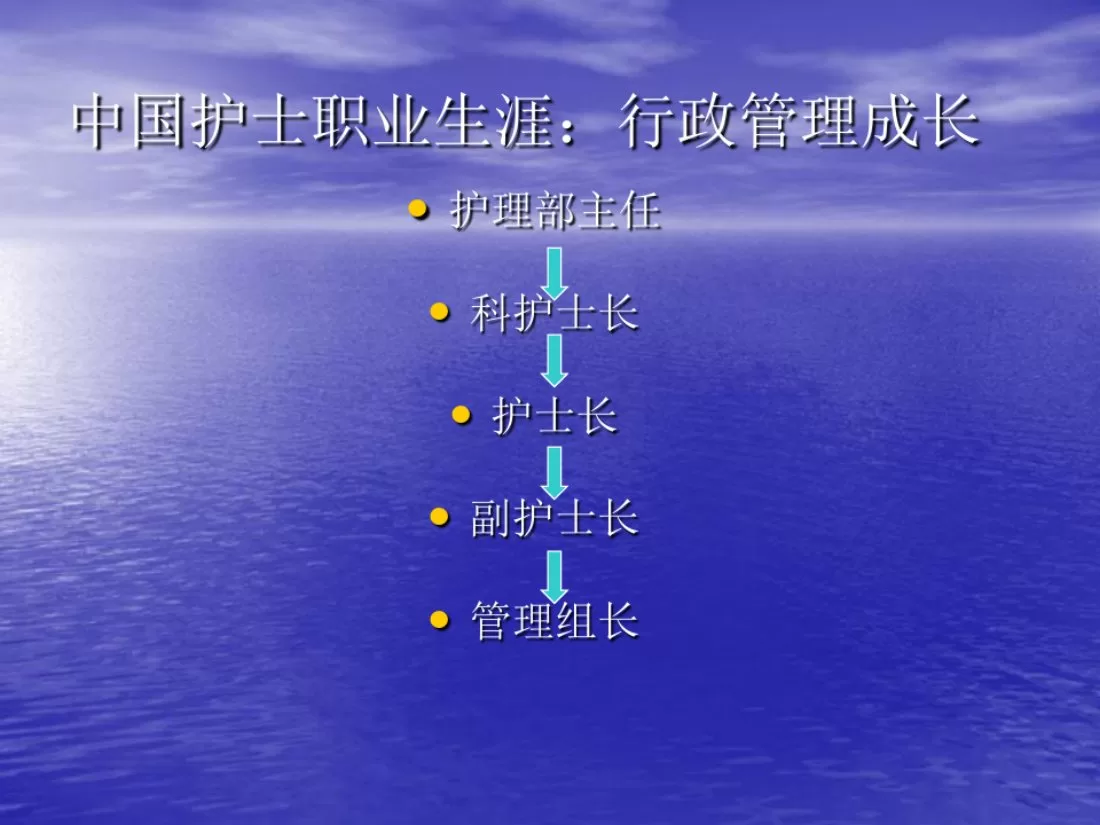 副护士长角色定位 预览图