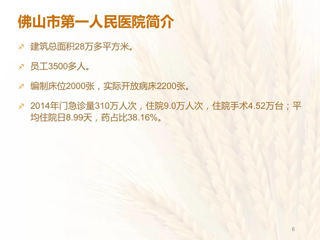 康复科三甲复评资料 预览图