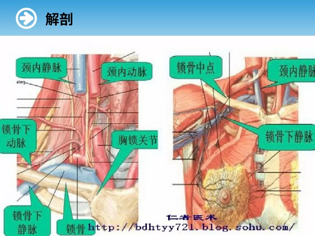 深静脉置管护理 预览图