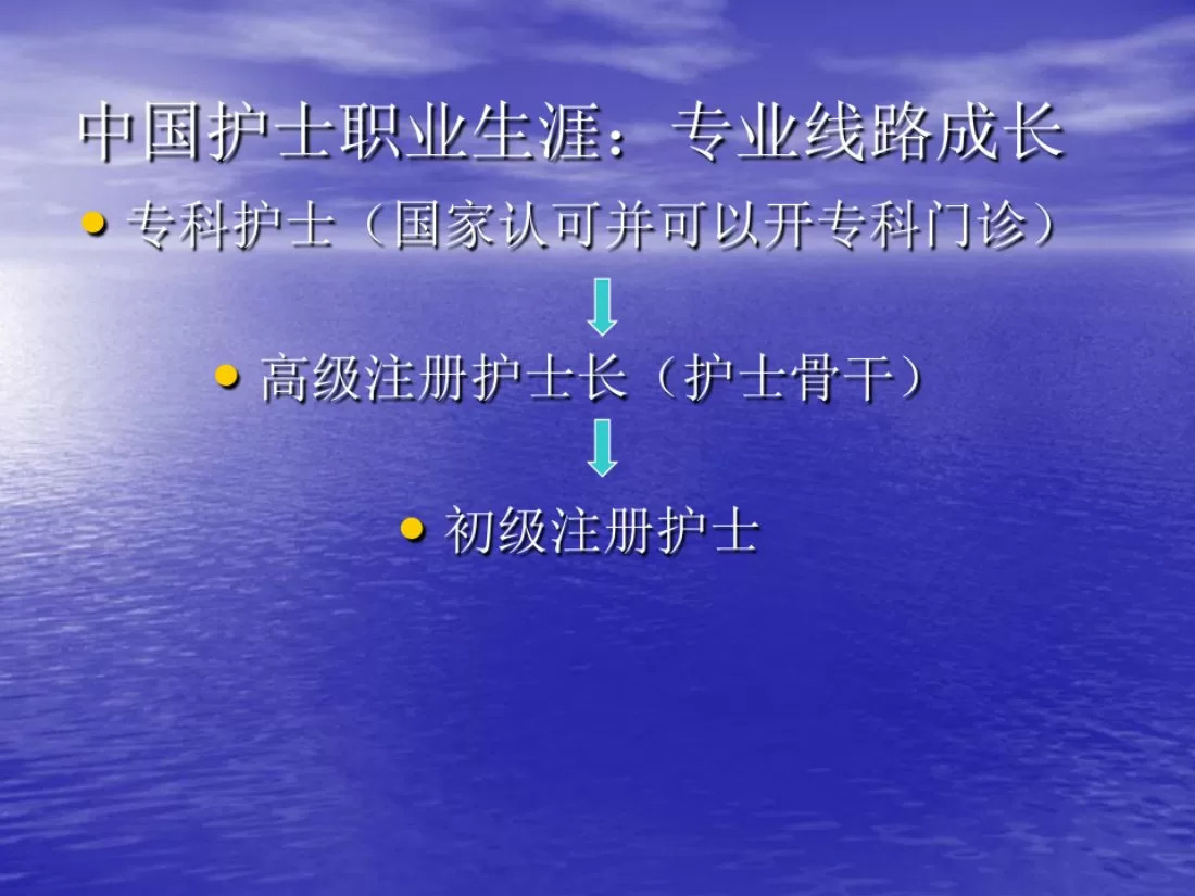 副护士长角色定位 预览图