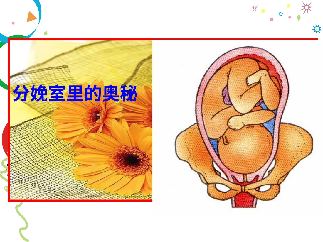 059.分娩室里的奥秘 预览图