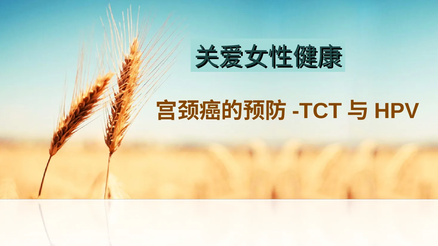 063、宫颈癌的预防 预览图