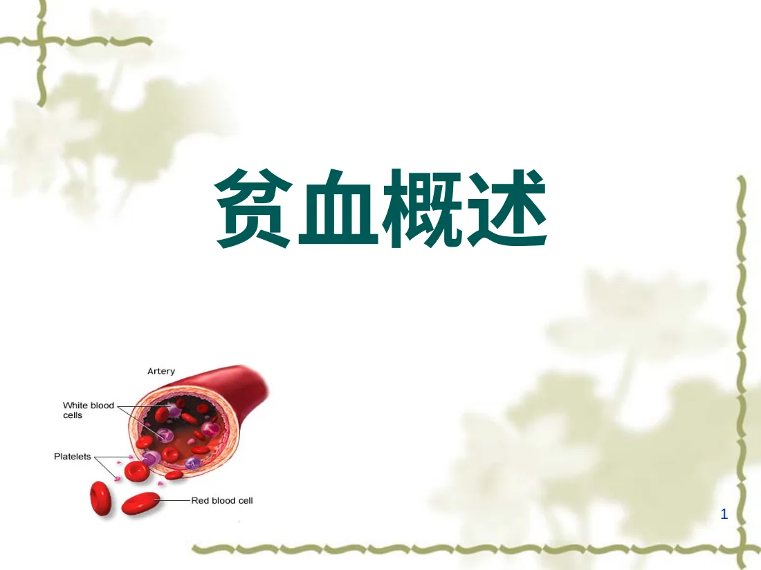 贫血概述ppt课件