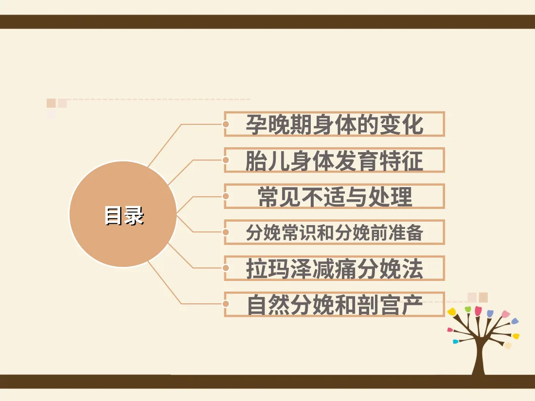 054.孕期规划 预览图