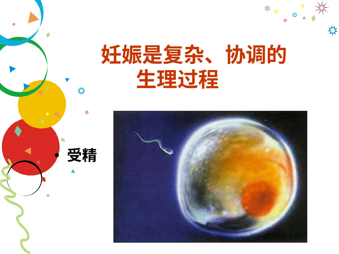 059.分娩室里的奥秘 预览图