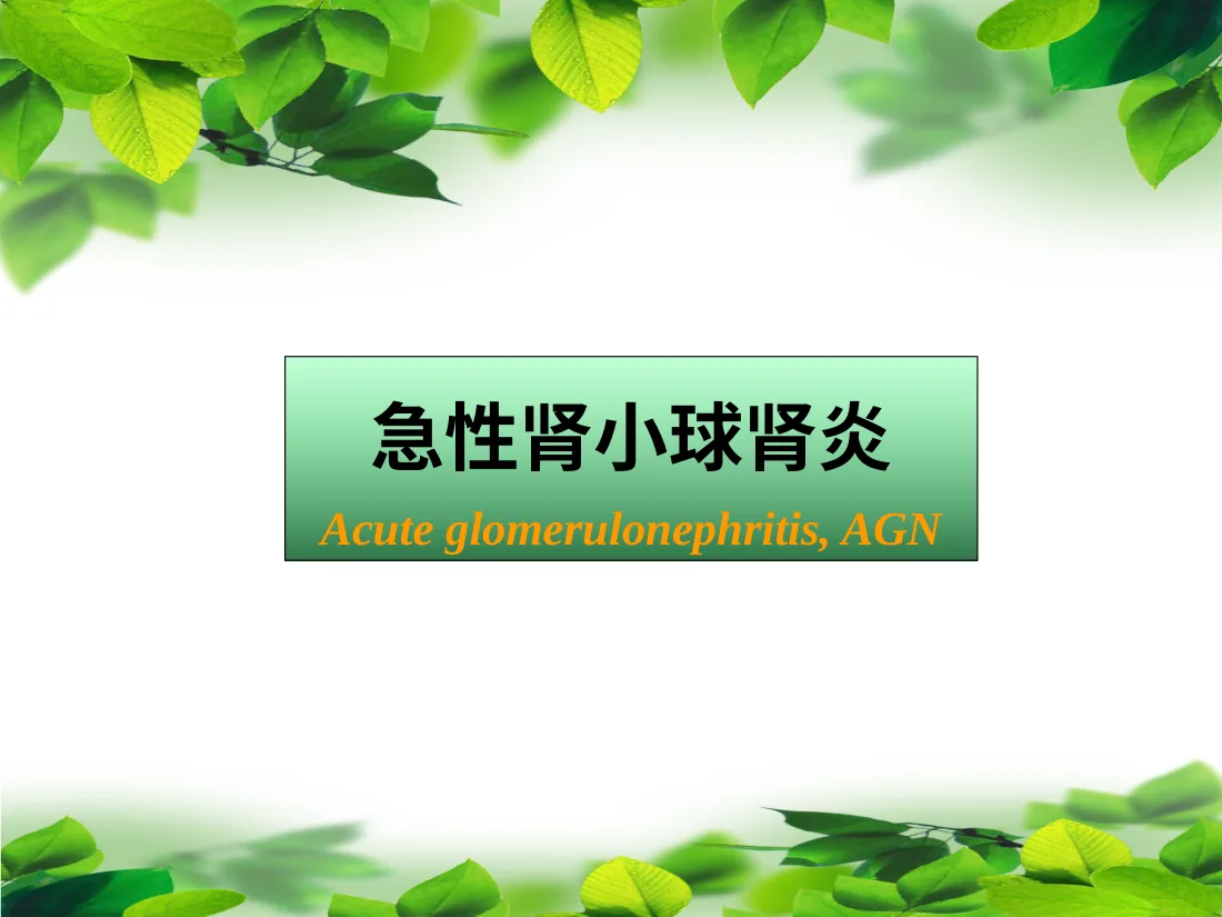 急性肾小球肾炎小讲课ppt课件 预览图