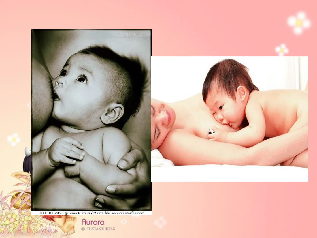 婴、幼儿儿童的营养与膳食 预览图