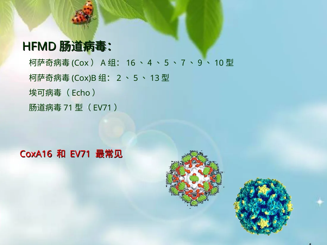 046.让你的孩子远离手足口病 预览图