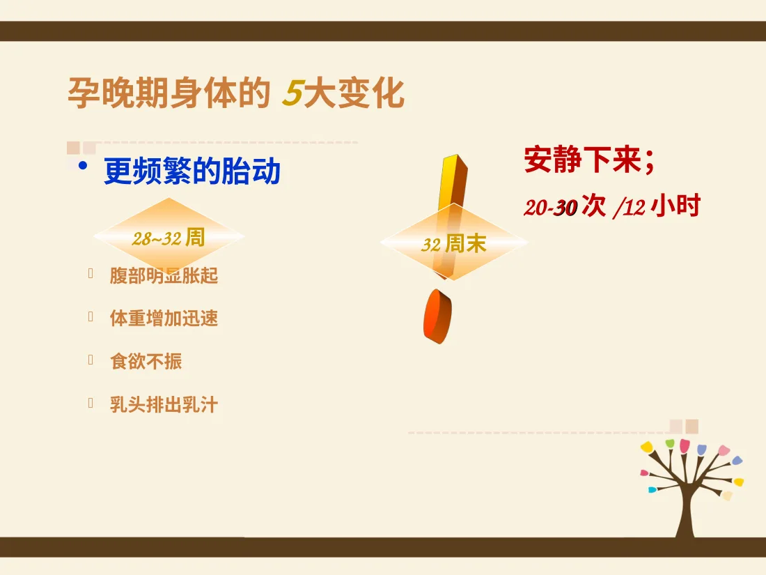 054.孕期规划 预览图