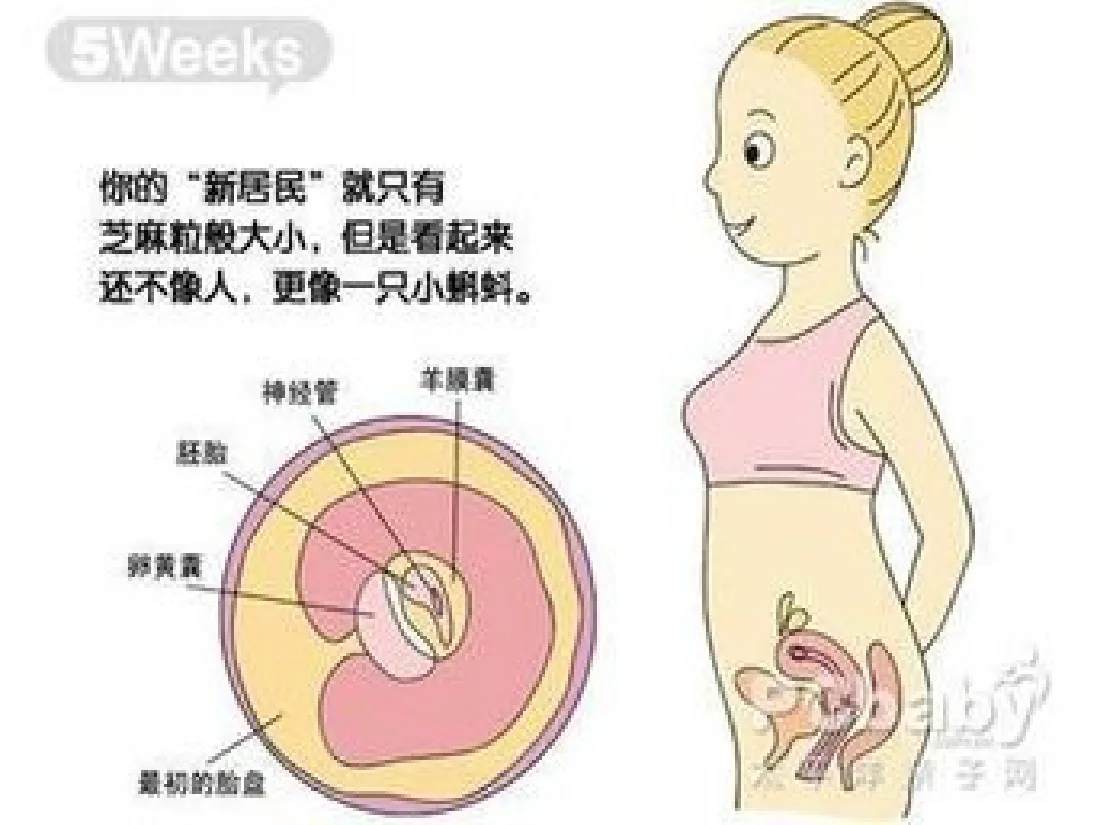059.分娩室里的奥秘 预览图