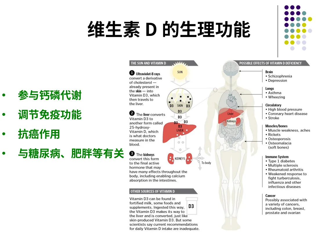 VitD的营养 预览图