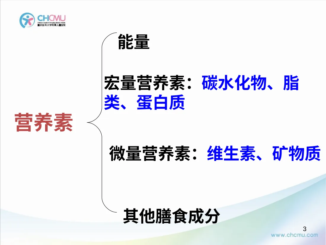 儿童营养与喂养(1) 预览图