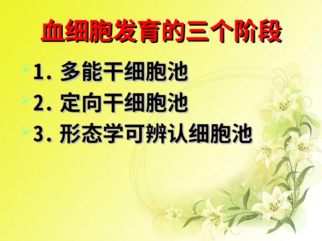儿童造血和血象特点(黄色版) 预览图