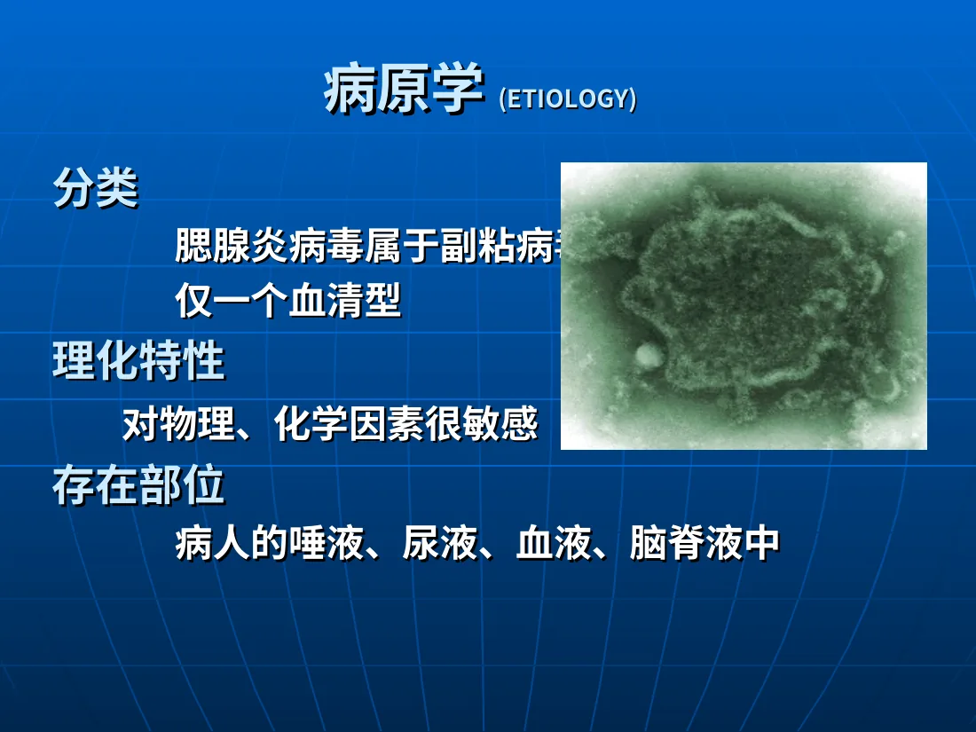 流行性腮腺炎 预览图