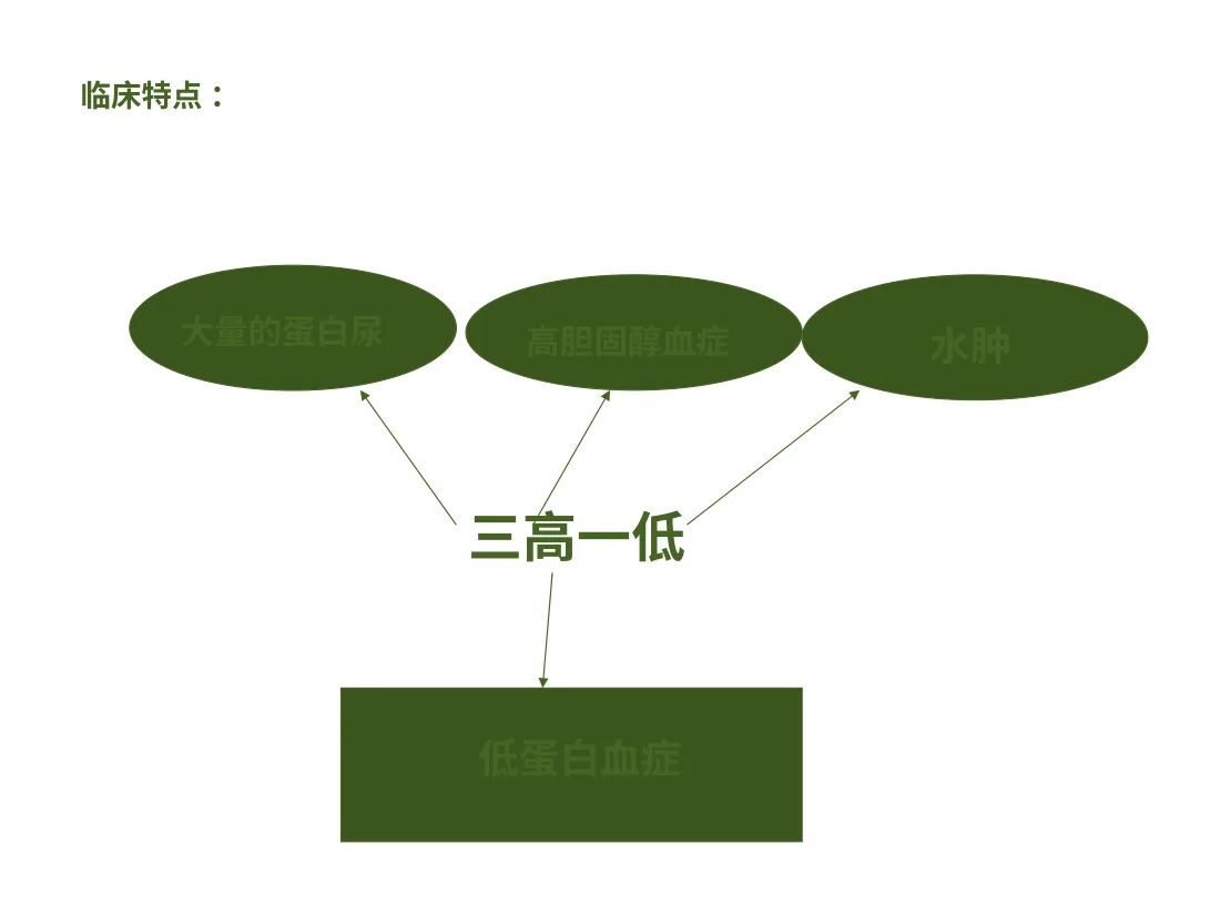 小儿肾病综合征 预览图