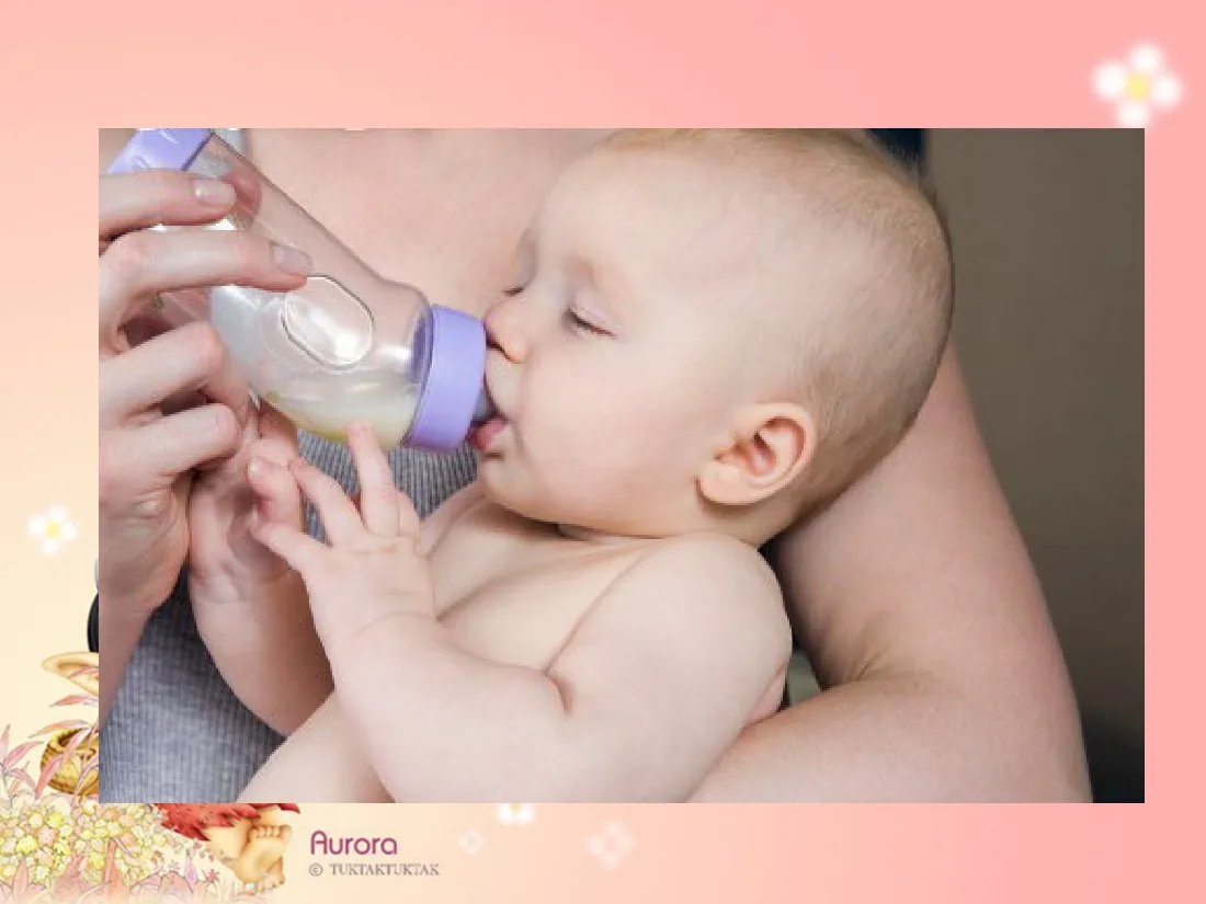 婴、幼儿儿童的营养与膳食 预览图