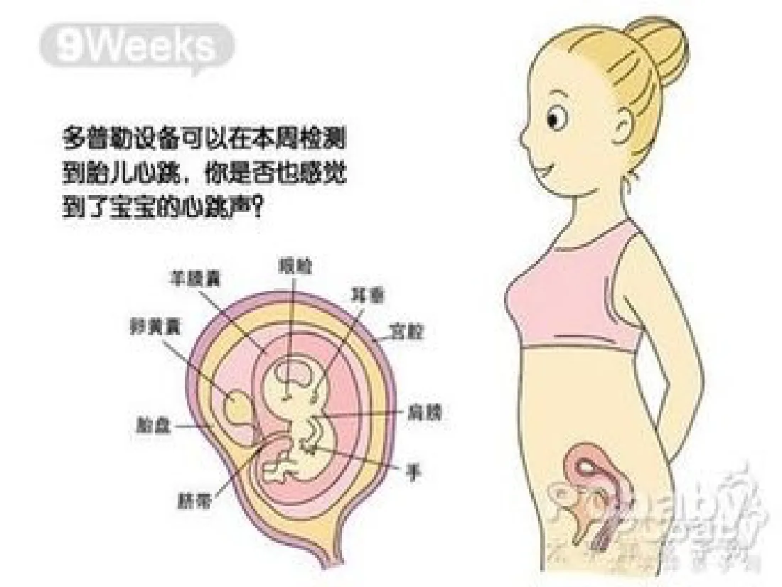 059.分娩室里的奥秘 预览图