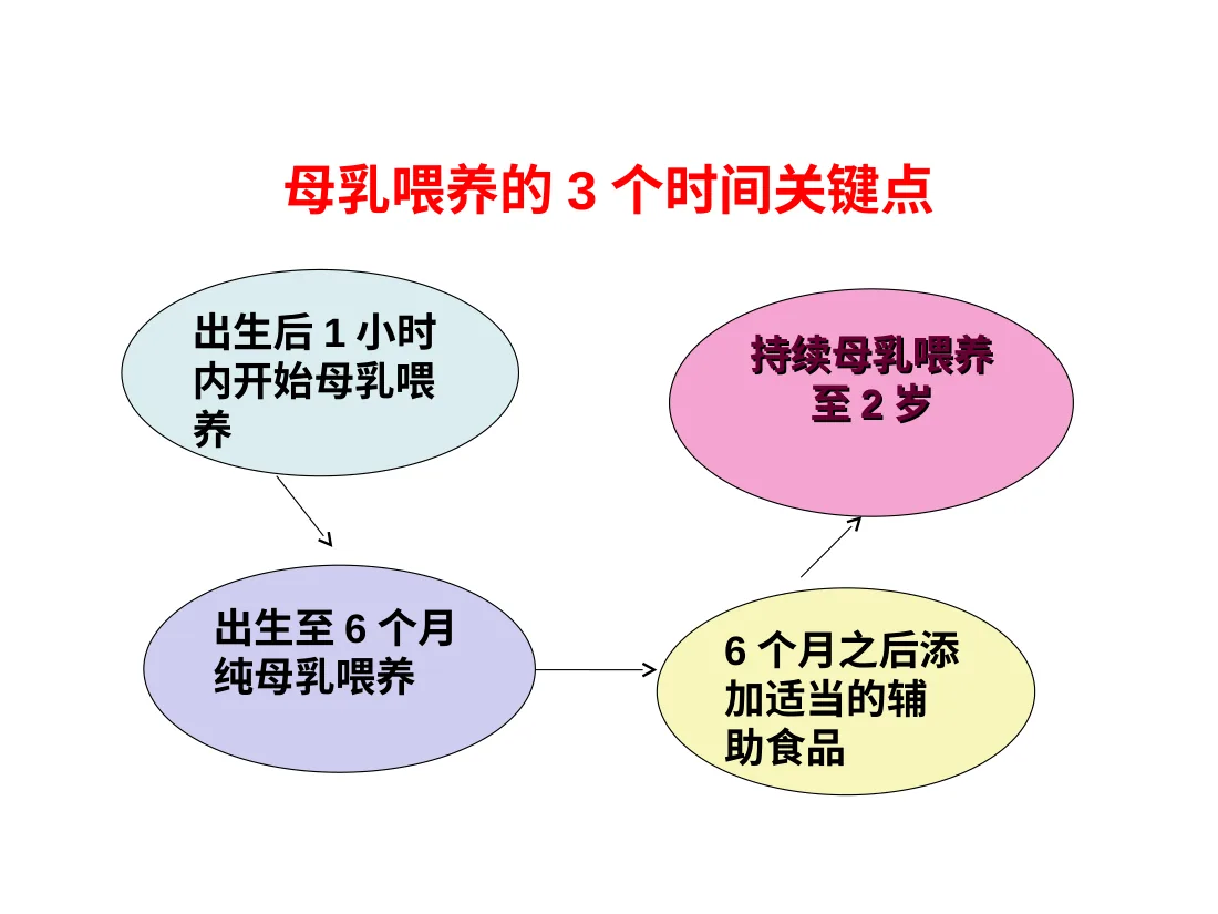 064.母乳喂养 预览图