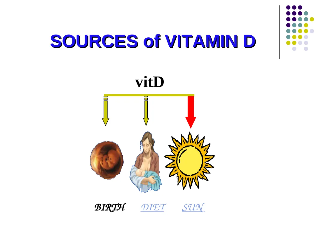 VitD的营养 预览图