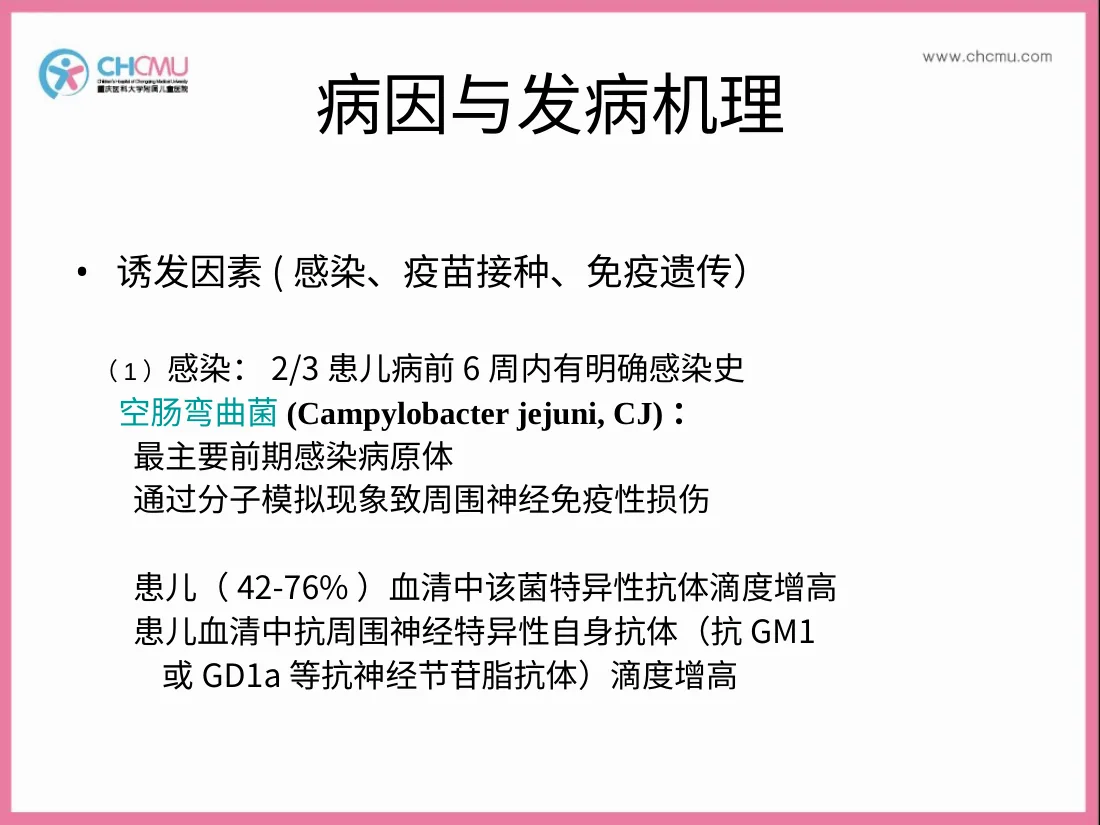 吉兰 巴雷综合征 预览图