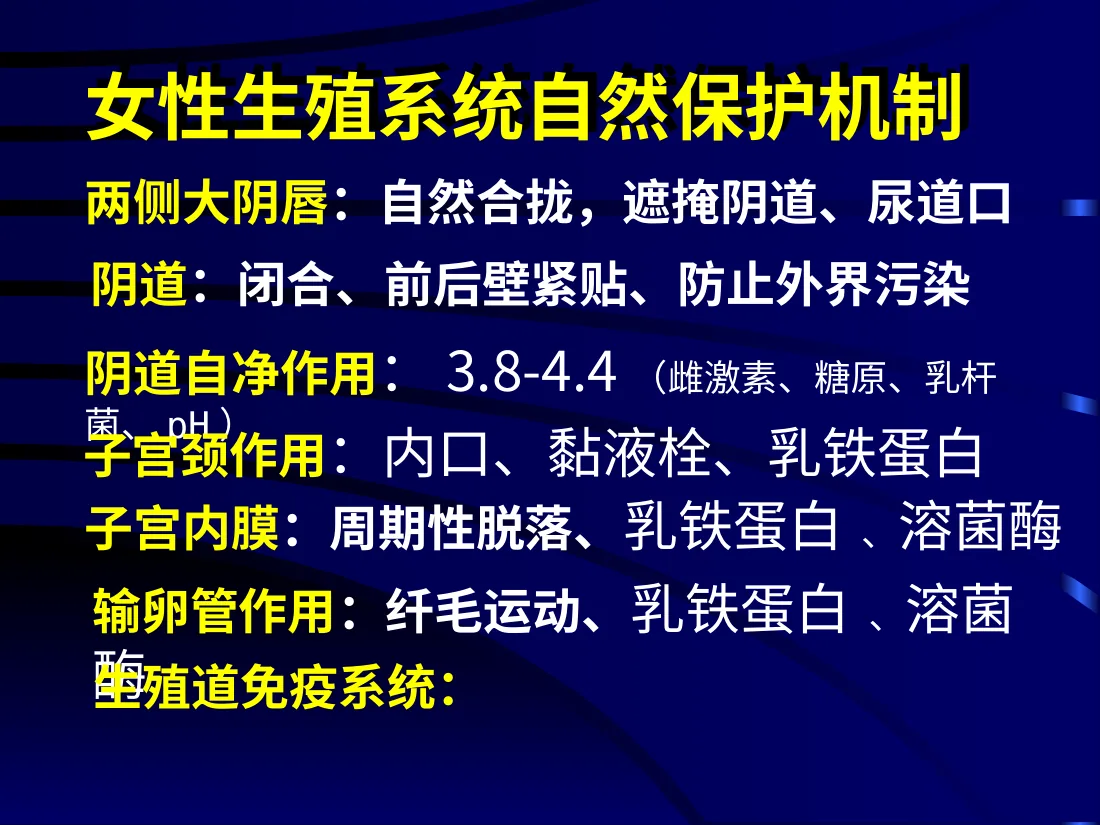 11妇产科 盆腔炎 预览图