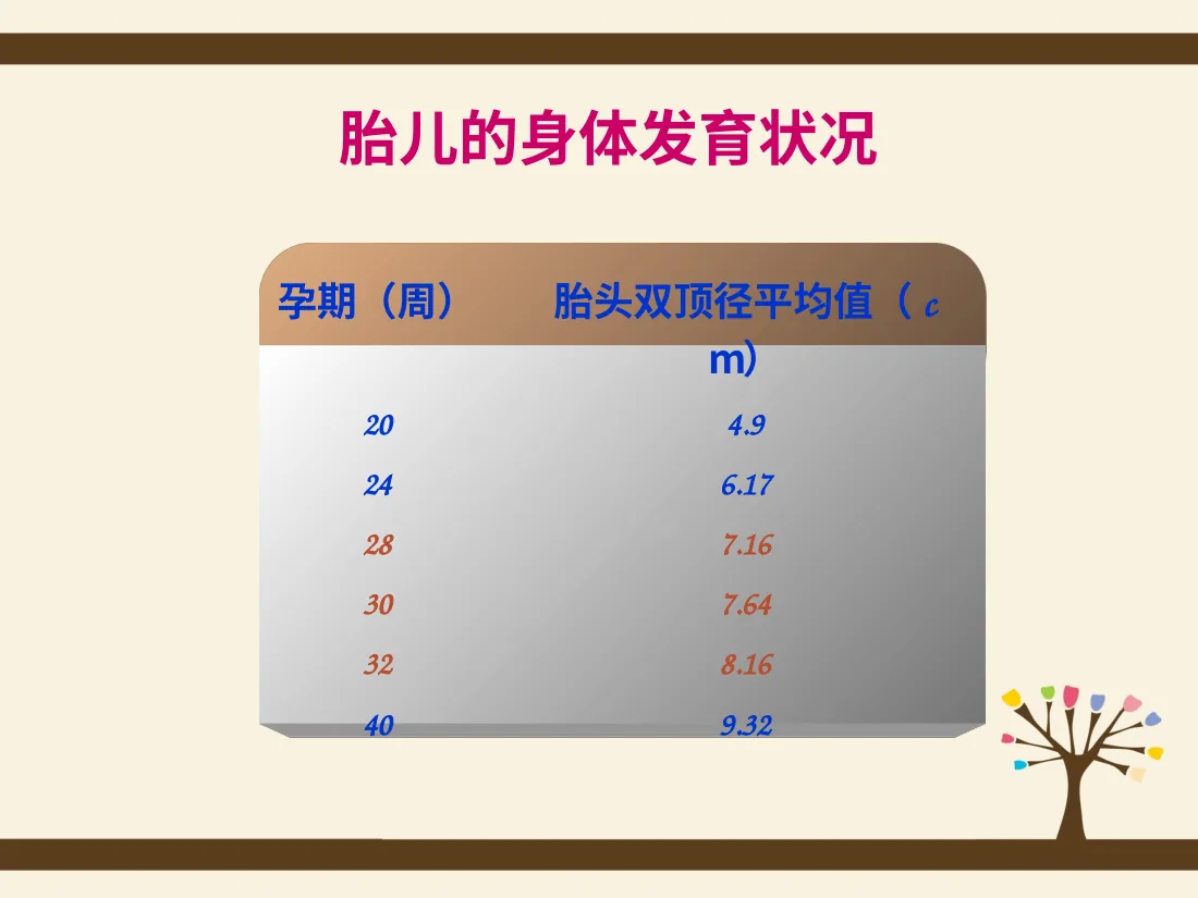 054.孕期规划 预览图
