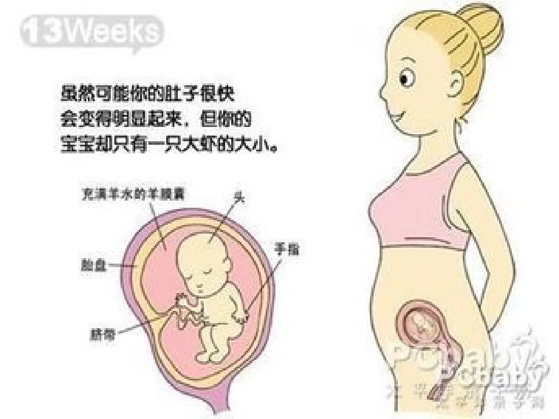 059.分娩室里的奥秘 预览图