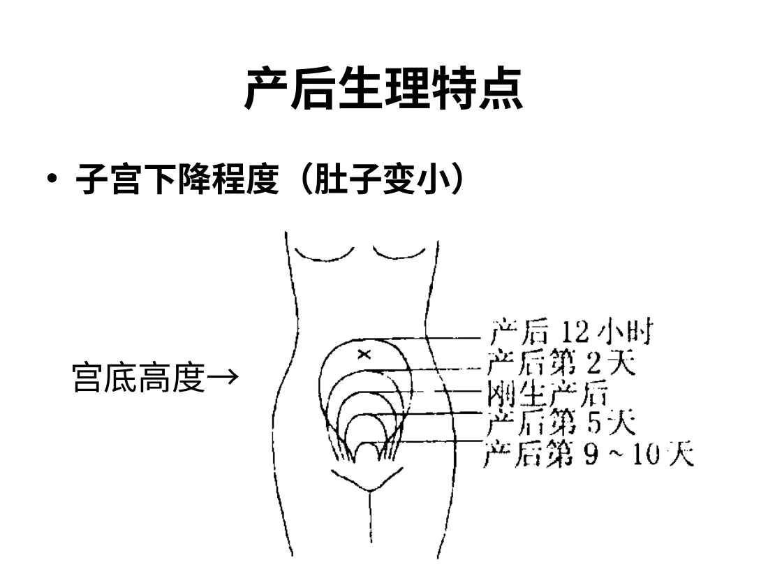 062.科学坐月子 预览图