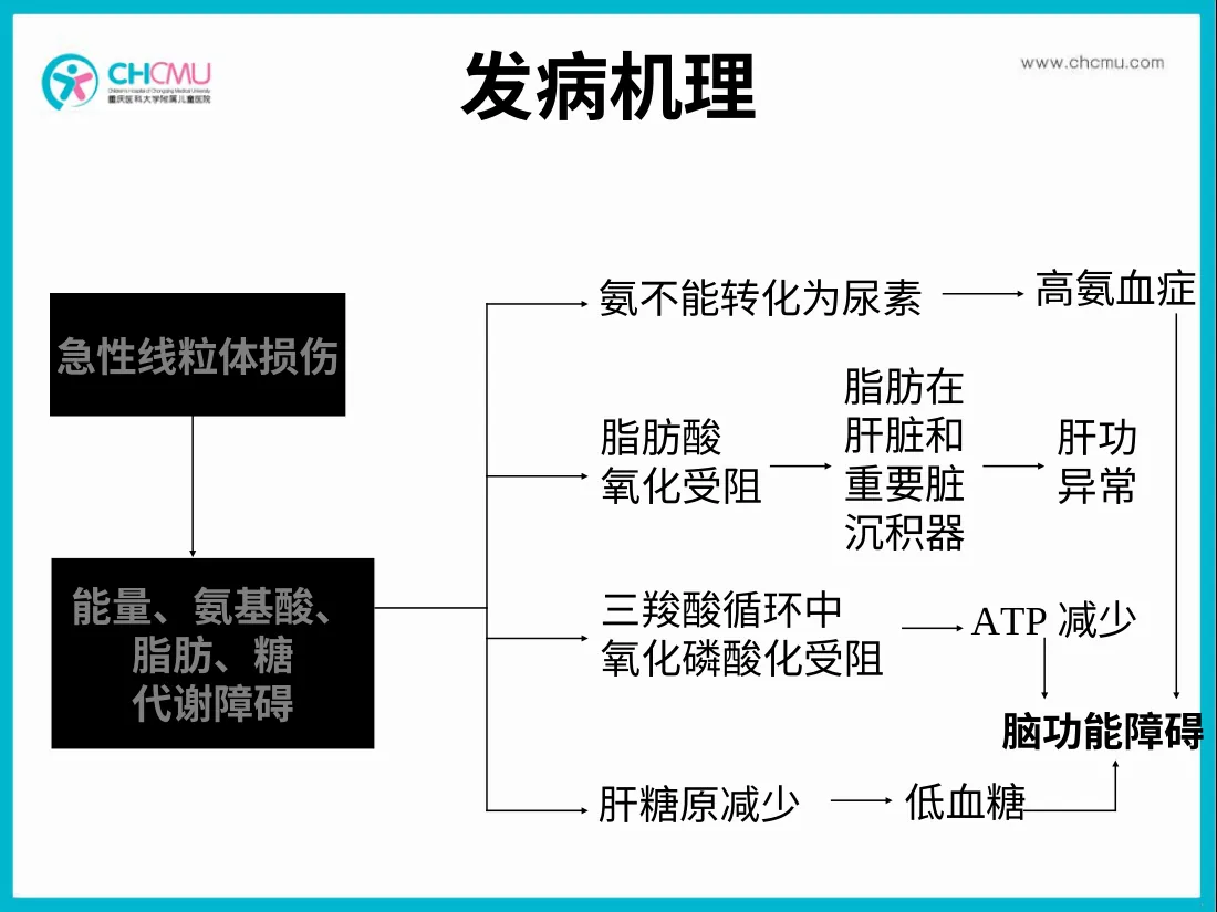 Reye综合征 预览图