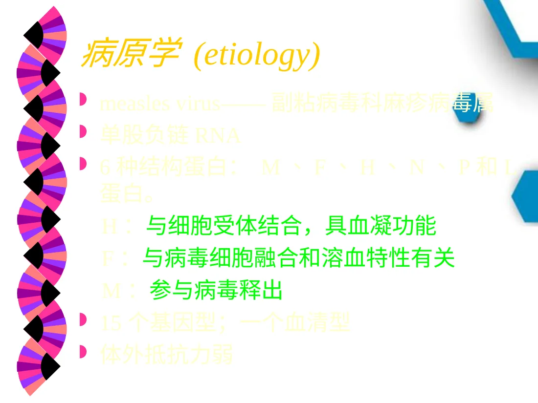 出疹性疾病 儿科教学PPT课件 预览图