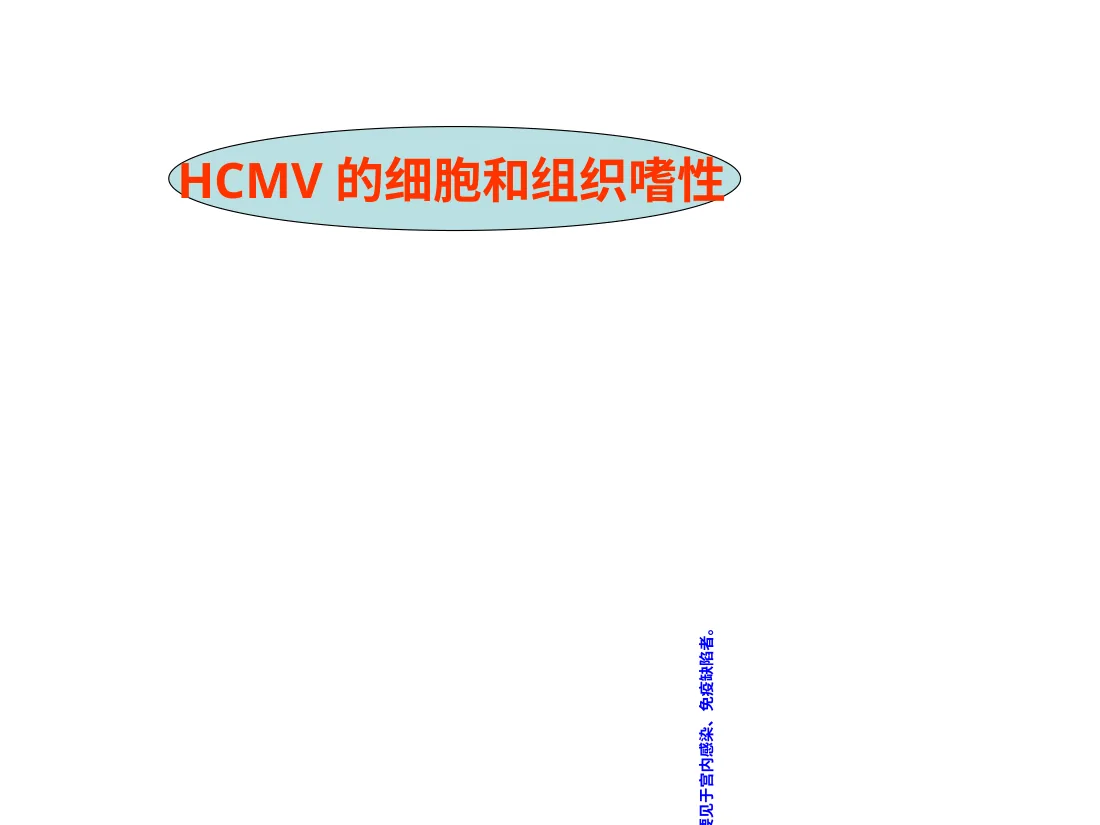 儿童巨细胞病毒性疾病诊断和防治PPT课件 预览图